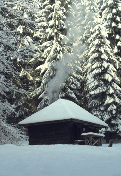 Chalet bois fumant