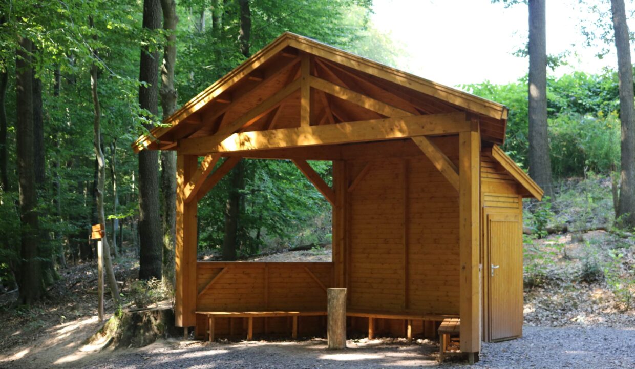 Construction de jardin en bois m² Helena 5025 - vue 2
