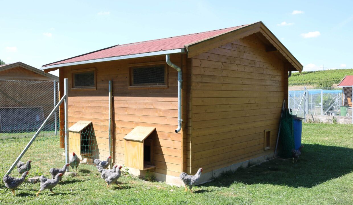 Abri de jardin bois 16 m² Chicken Farm - vue 1