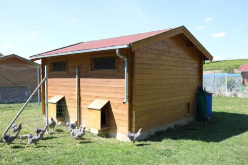 Abri de jardin bois 16 m² Chicken Farm - vue 1