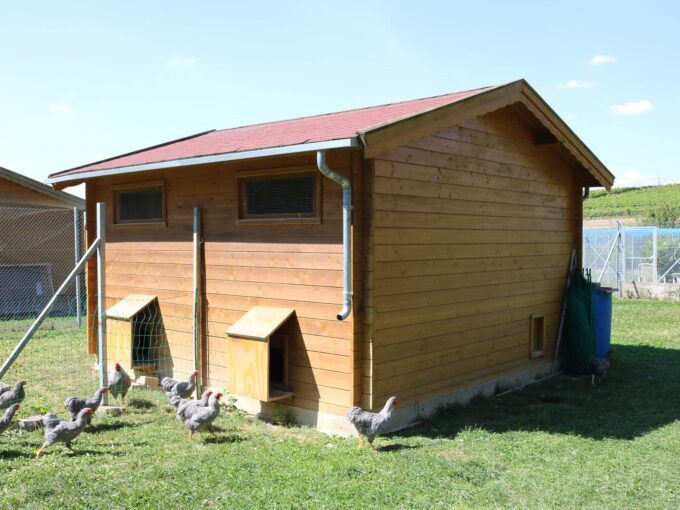 Abri de jardin bois 16 m² Chicken Farm - vue 1