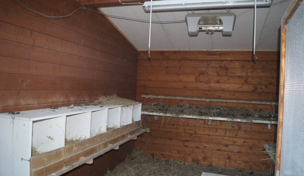 Abri de jardin bois 12 m² Kentucky - vue 2