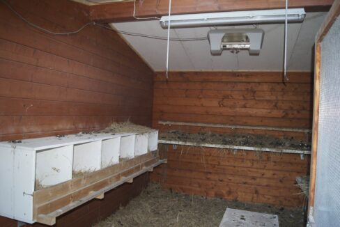 Abri de jardin bois 12 m² Kentucky - vue 2