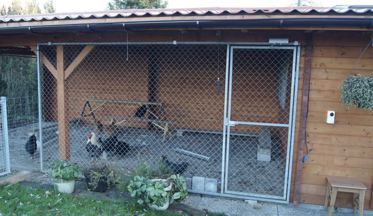 Abri de jardin bois 12 m² Kentucky - vue 1