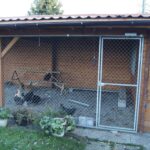 Abri de jardin bois 12 m² Kentucky - vue 1