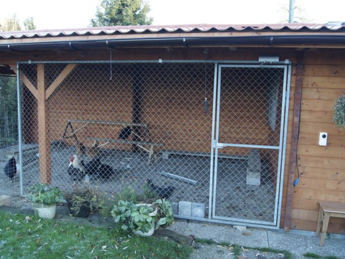 Abri de jardin bois 12 m² Kentucky - vue 1