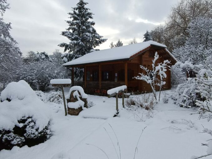 Chalet en bois 41,6 m² Alicja - vue 1